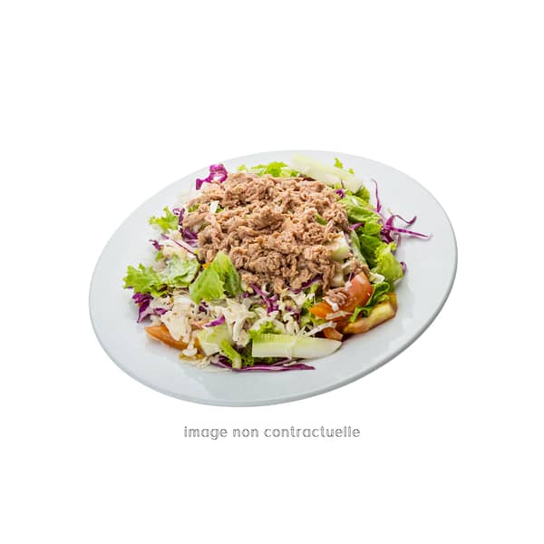 Salade au Thon (salade verte, oignon, thon, tomate, œuf)